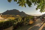 Western Cape wines shine on world stage