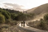 Cycling superstars descend on Knysna for inaugural Nedbank Gravel Burn