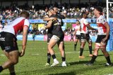 Don double tames Lions in Wellington