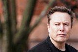 WATCH | How Elon Musk got involved in Germany's election