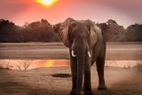 Southern Africa’s best-kept travel secrets you must visit