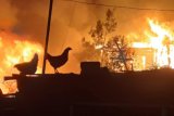 Second fire sweeps through informal settlement in Plettenberg Bay