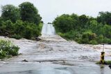 Severe weather sees TWO border posts closed in Kruger Park