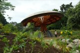 London's Kew Gardens opens carbon garden to highlight climate crisis