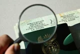 Home Affairs to retire green ID book as smart ID rollout accelerates