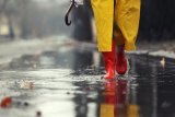 Floods ahead as days of rain forecast for already-soaked Western Cape