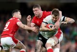 Easterby pleased with Ireland's grit in Wales win