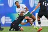 Junior Springbok star Haashim Pead named in Lions Currie Cup squad