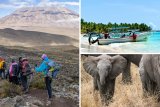 Five things to do on your solo trip to Tanzania