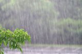 Heavy rainfall predicted for KwaZulu-Natal