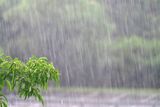 Heavy rainfall continues to affect Mpumalanga