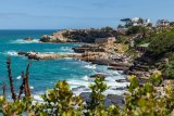 Whale-watching season: ‘Missing’ section of Hermanus coastal footpath restored