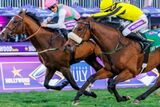 Hollywoodbets Durban July prize money hiked to record R10 million