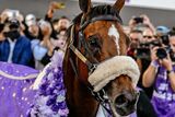 Hollywoodbets Durban July: Roll of Honour