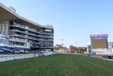 Hollywoodbets Durban July: Here’s who will WIN