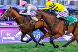 WATCH the Hollywoodbets Durban July with Xhosa commentary