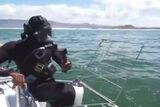 iShowSpeed’s SA shark-diving stream goes viral after barking moment – WATCH