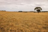 OPINION | Expropriation Act won't solve SA’s unemployment and poverty but aggravate both problems