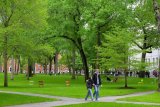 Harvard to comply with Trump administration’s demand to turn over employment forms
