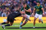 Wiese fired up for Bok return