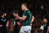 Du Preez has golden Bok opportunity
