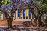 JONATHAN JANSEN | Who’s handing out all these professorships like candy?