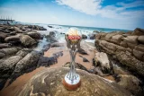 Kaizer Chiefs reveal Toyota Cup trophy, contract talks shake Naturena