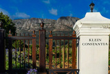 Why is Klein Constantia Africa’s top vineyard? Here’s what the world just decided