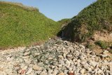 Council must execute turnaround strategy to make Nelson Mandela Bay clean again