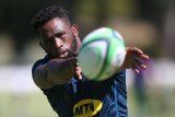 New captain for Springboks as Kolisi withdraws