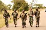 Alleged poacher shot dead at Kruger National Park