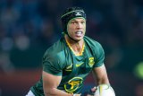 Fresh Kurt-Lee setback for Boks, No 8 returns