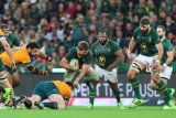 Kwagga hungry to feast at Eden Park
