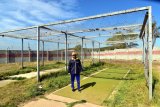 Cricket comes a distant second at Despatch sports ground