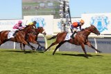 Date confirmed for 2026 L’Ormarins King’s Plate at Hollywoodbets Kenilworth