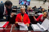 ‘We’re letting the country down’: Malema and MK Party question Mkhwanazi’s statement