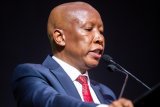 Malema urges Africa to unite under one president, one currency