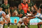 Springbok signings: Who is on the move?