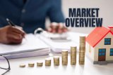 Business insights: Sink or soar? Investing in South Africa