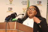 ‘Let’s fight this battle away from schools’: Gwarube warns Dudula