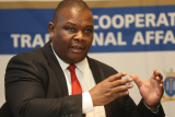 Mamabolo blames poor co-ordination for Gauteng's sinkhole crisis