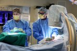 Innovative procedure gives hope to back pain sufferers