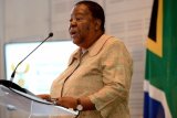 Is Naledi Pandor referring to Ramaphosa as ‘leader with no solution’? [video]