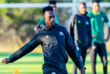 'SA can thrive without Downs stars'
