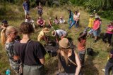 Tree planting a key focus of environmental festival