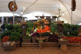 Popular Cape Town market heads to a new home this October