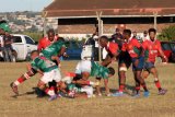 Rampant Gardens rack up another Top 12 win
