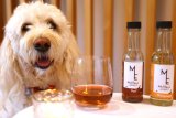 New Zealand company sells non-alcoholic wine – for PETS