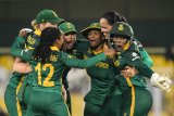 South Africa crush England to reach Women’s World Cup final
