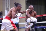 Gingqi wins ABU title in scrappy bout
